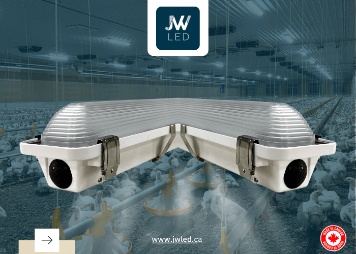 How to Start Saving with JW LED?