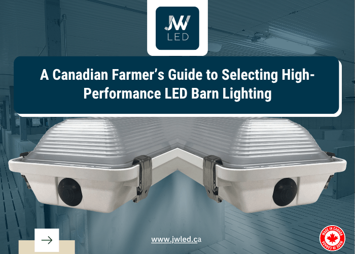 A Canadian Farmer&rsquo;s Guide to Selecting High-Performance LED Barn Lighting