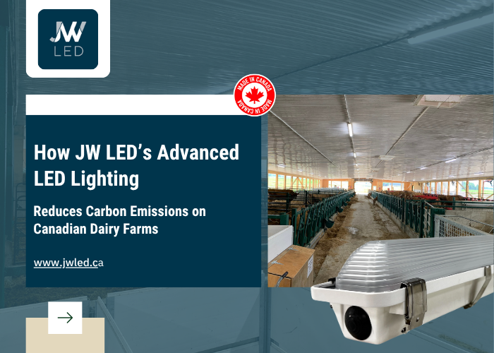 How JW LED&rsquo;s Advanced LED Lighting Reduces Carbon Emissions on Canadian Dairy Farms