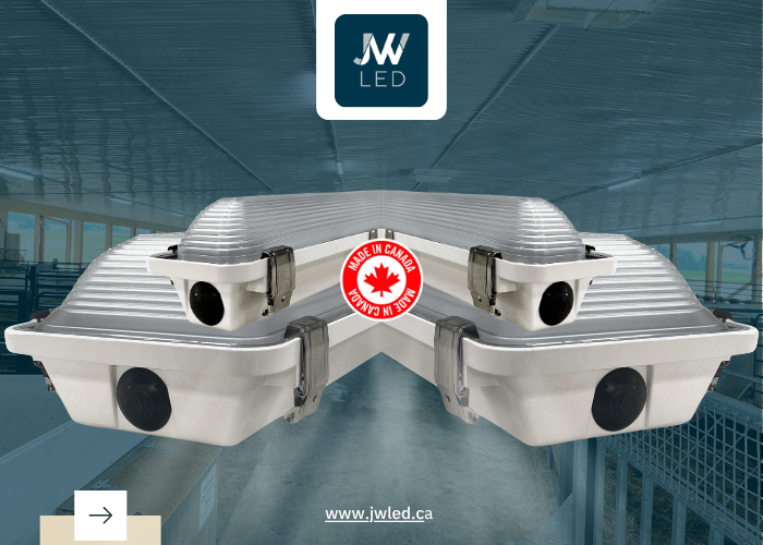 Key Factors to Consider When Choosing LED Barn Lighting