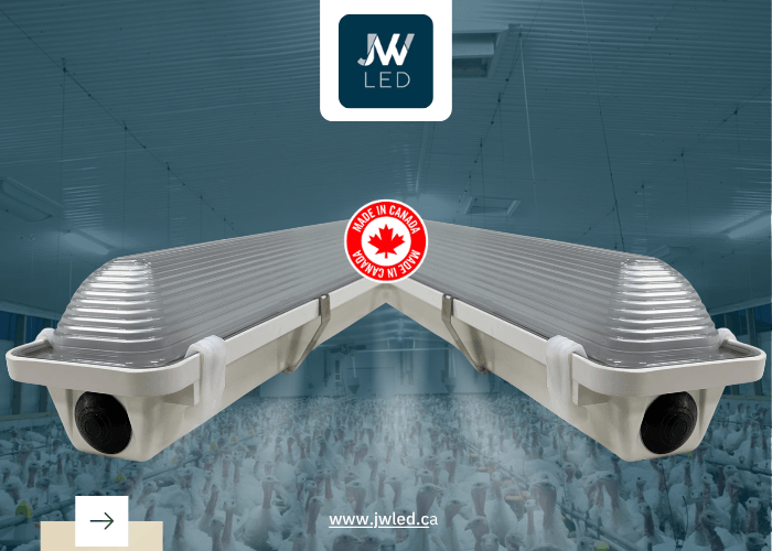 Why Choose JW LED for Your Barn Lighting Needs