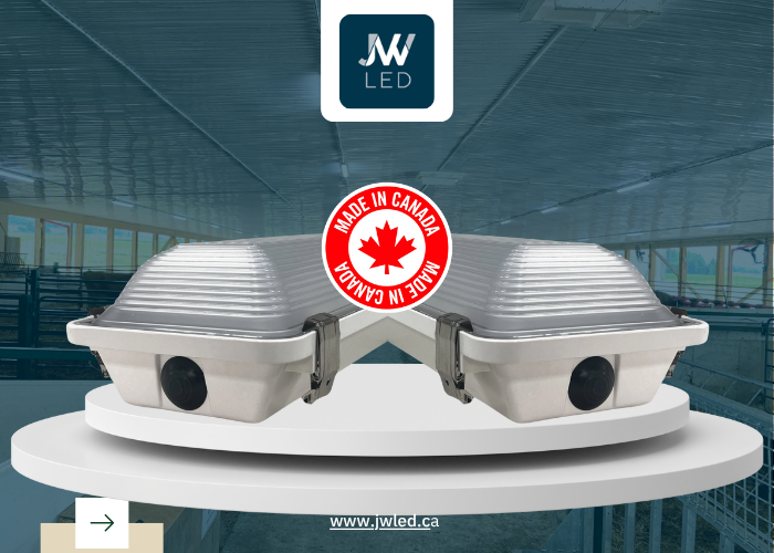 Why JW LED Stands Out for Canadian Dairy Farmers