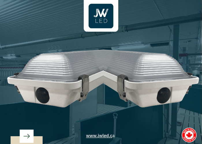 Why JW LED Stands Out for Pig Barn Lighting?