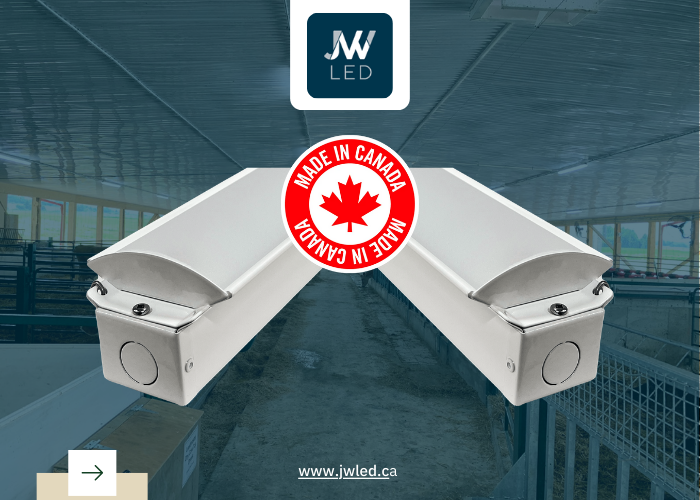Making the Smart Choice for Your Business | JW LED Canada