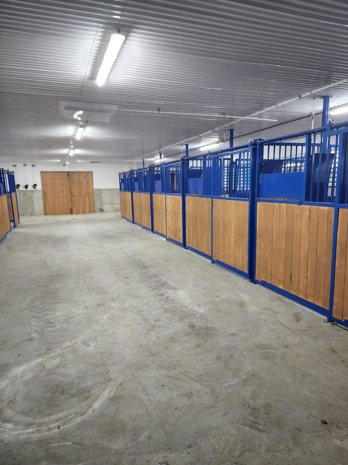 Horse Barn LED Lighting